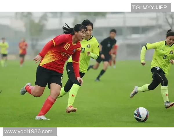 嘉善足球队球星名单盘点与实力解析全面展示球员风采