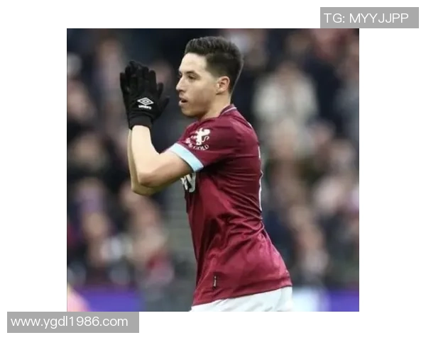 法国足球天才纳斯里个人资料及职业生涯全解析 法国足球天才纳斯里个人资料及职业生涯全解析